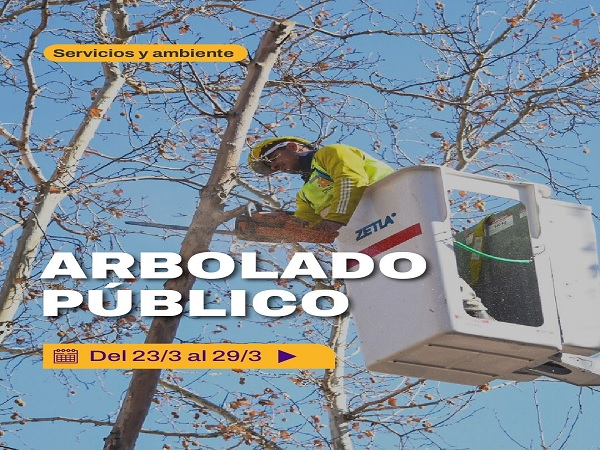 arbolado publico 1 capital