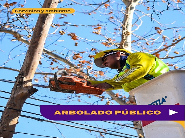 arbolado publico