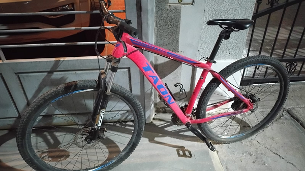 bici rosa