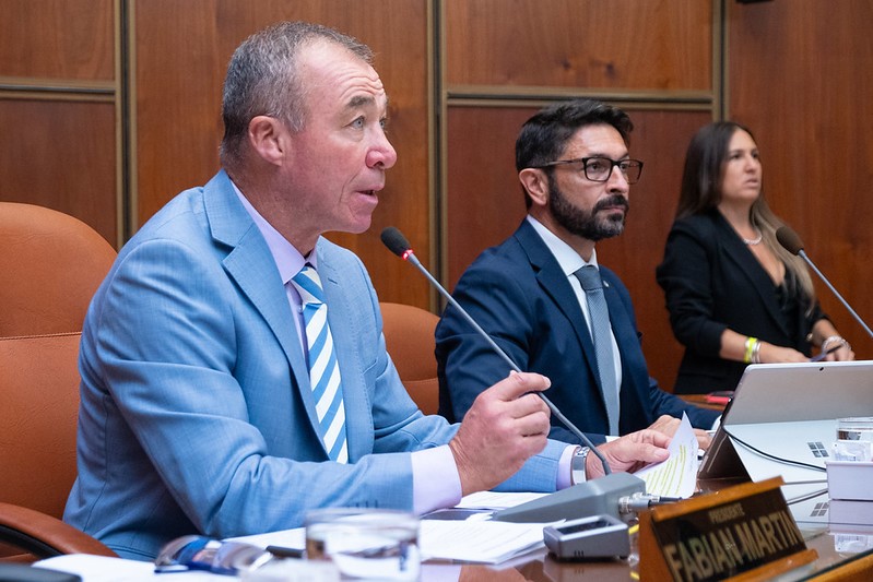 Fabian Martin sesion