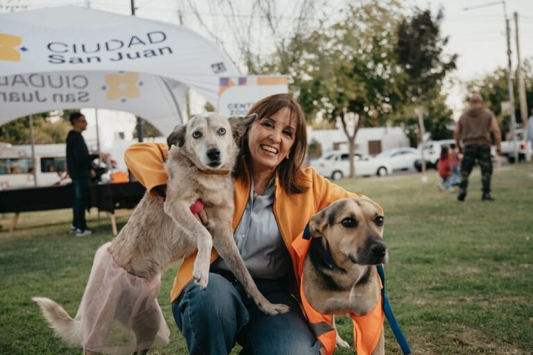 Susana perros
