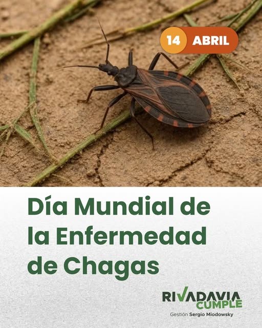 chagas 13 abril