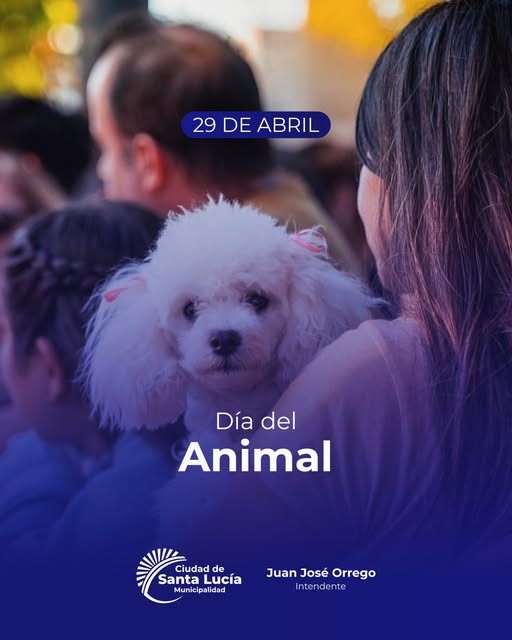 dia del animal santa