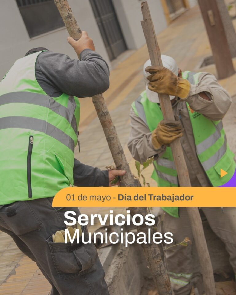 servicios 1 de mayo