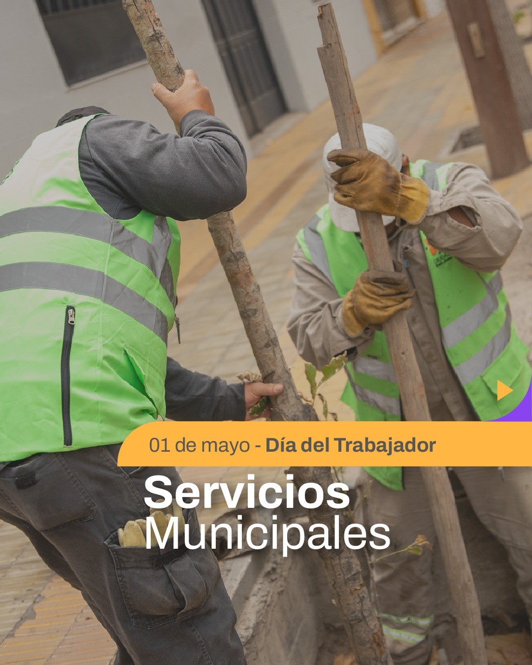 servicios 1 de mayo