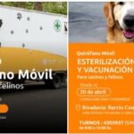 Cuidar a nuestras mascotas también es cuidar a nuestra comunidad