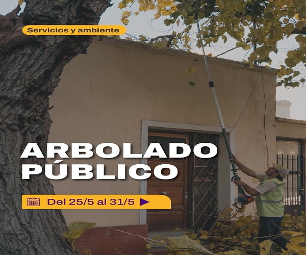 arbolado mayo