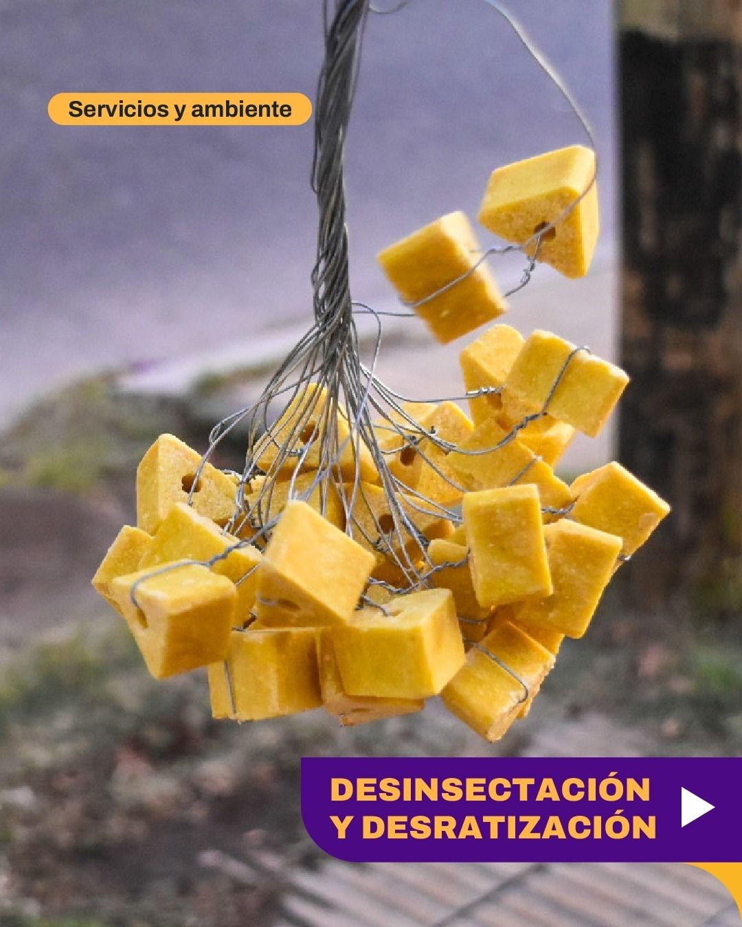 desra queso