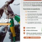 Comenzó la temporada de poda particular en Rivadavia.