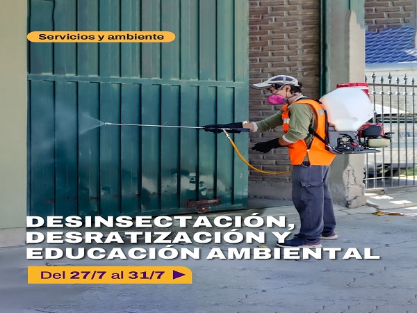 desin 27 julio