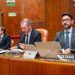 La Cámara de Diputados aprobó el Acta Compromiso con Vicuña