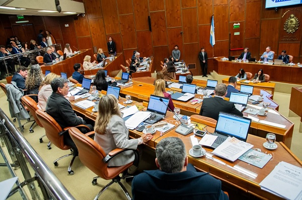 camara 13 agosto