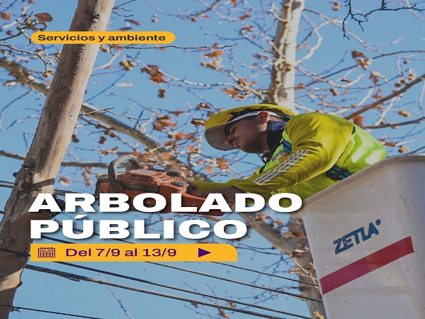arbolado capi 2