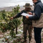 Inclemencias climáticas: qué hacer ante daños en la producción provocados por lluvias y cómo realizar la denuncia