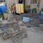 Ambiente secuestró 45 aves silvestres y 4.000 kilos de leña