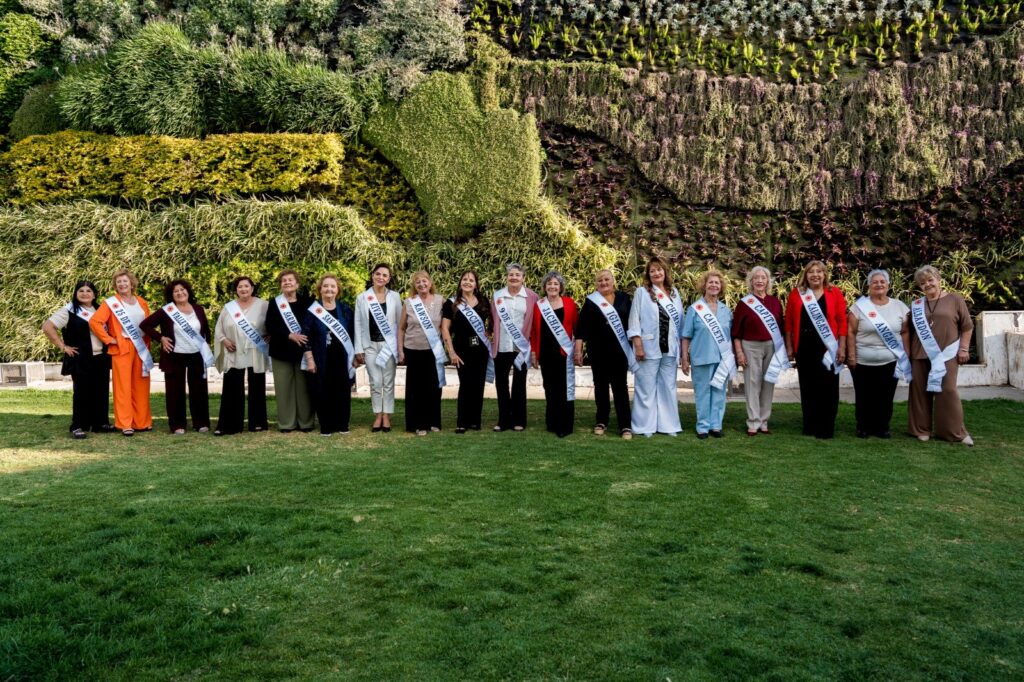 candidatas mayor